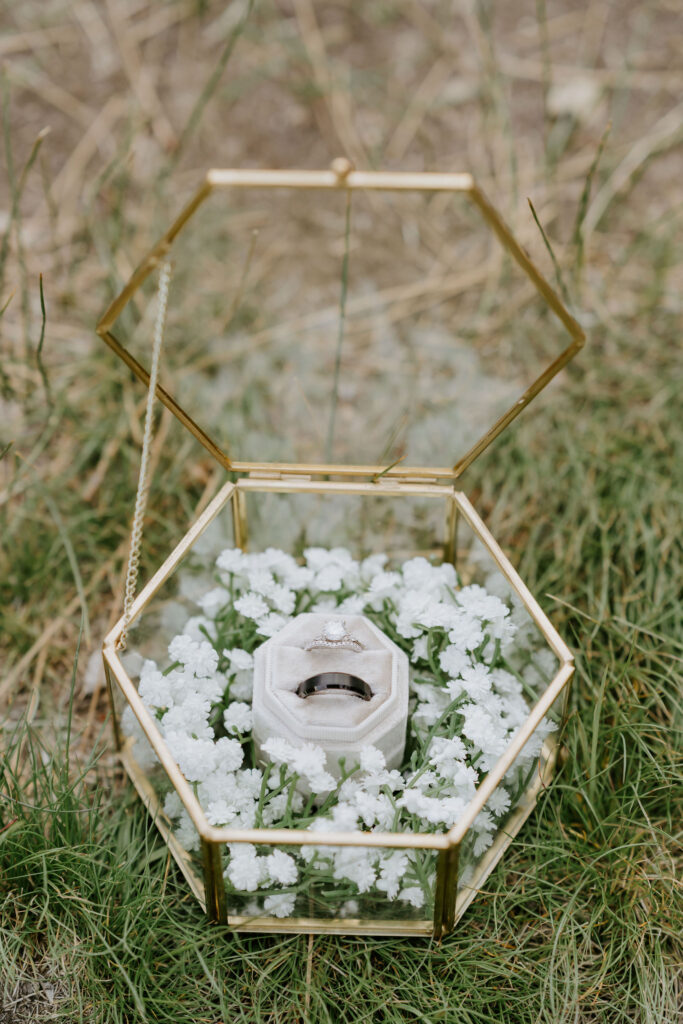 Close-up shot of the wedding rings