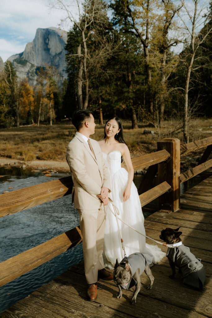 The Ultimate Yosemite Elopement Guide | Updated for 2026