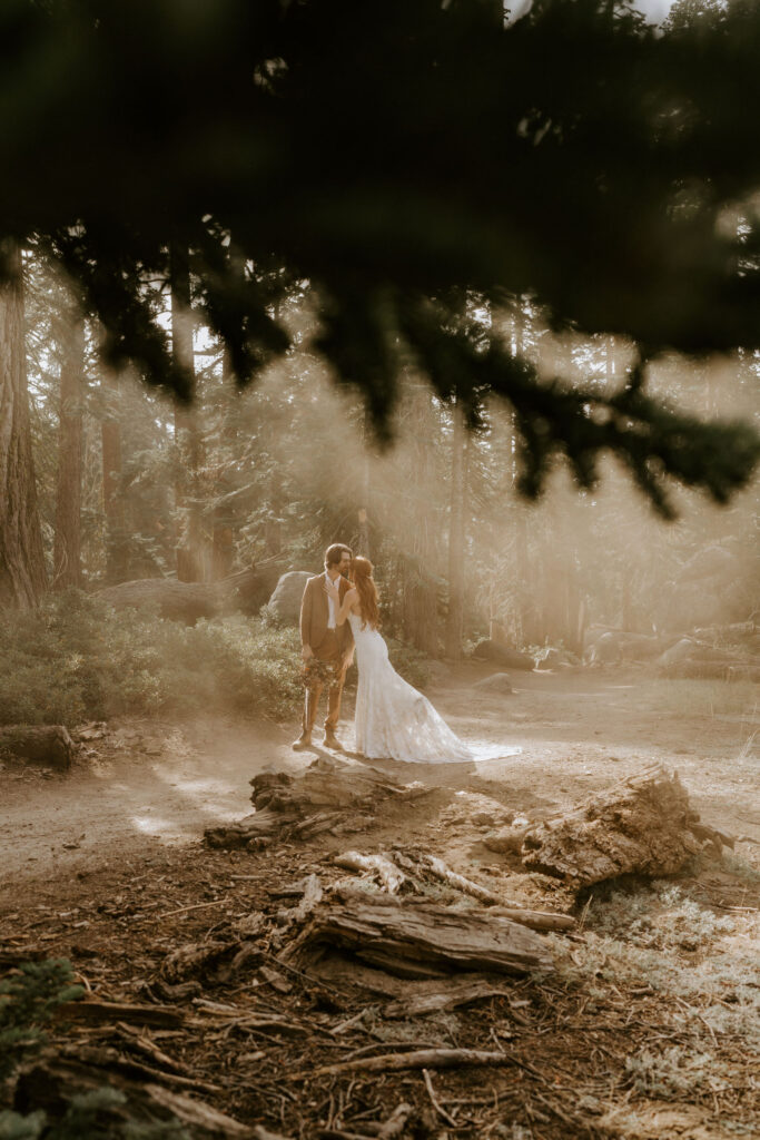 portrait of the bride and groom huggging