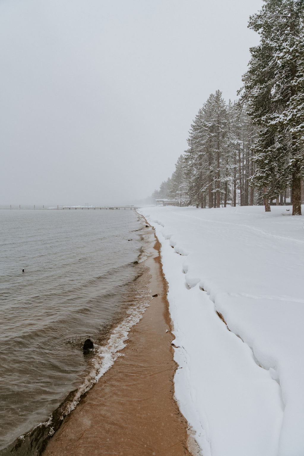 lake tahoe winter elopement