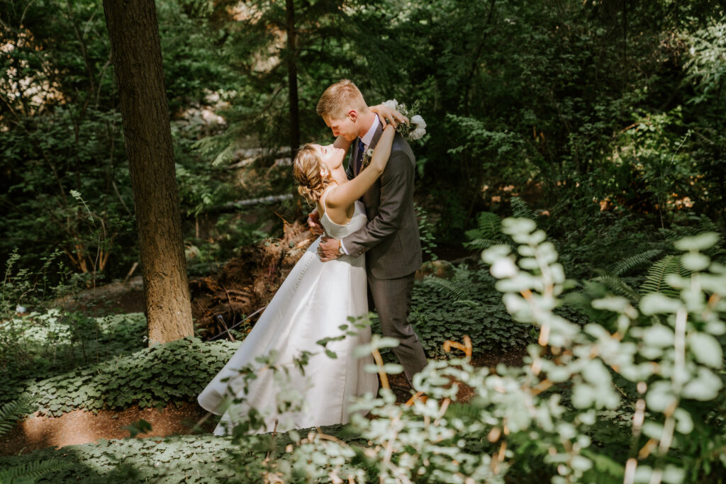 Redwood elopement forest