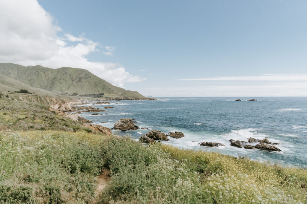 Big Sur landscape