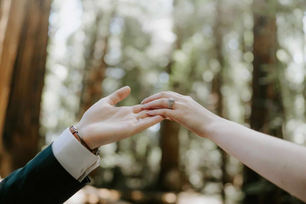 redwood elopement photo of hands