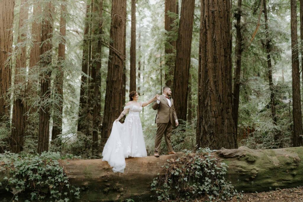 glen oaks redwood elopement