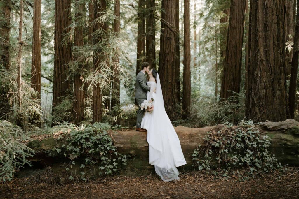 big sur elopement at glen oaks