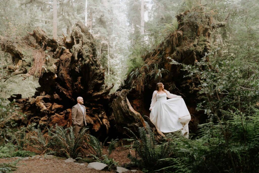 redwood elopement in national and state parks