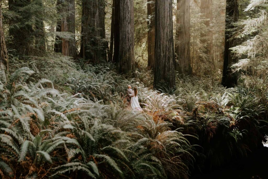 elopement in the ferns in jedediah smith redwoods california
