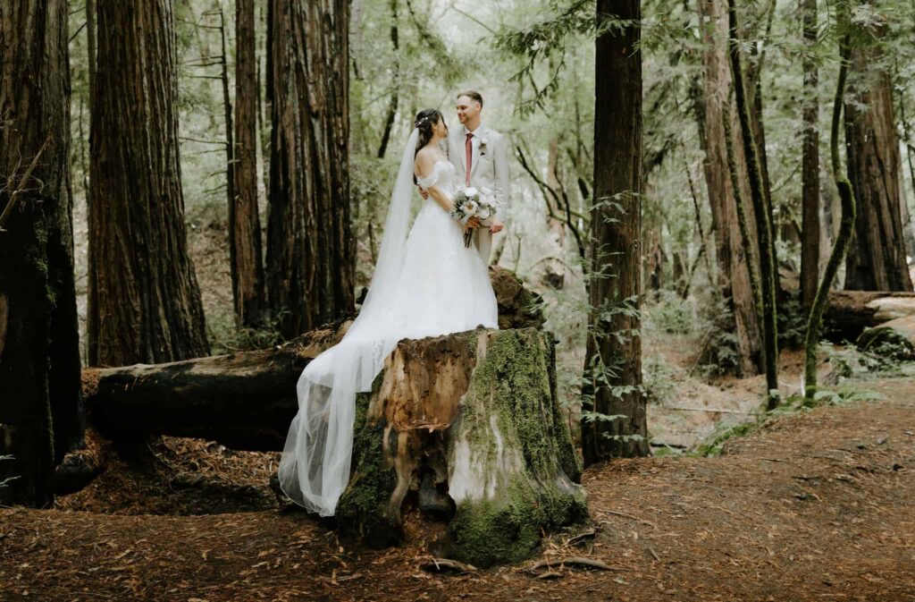armstrong redwood elopement