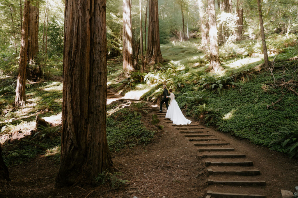 muir woods elopement couple posing among the trees
