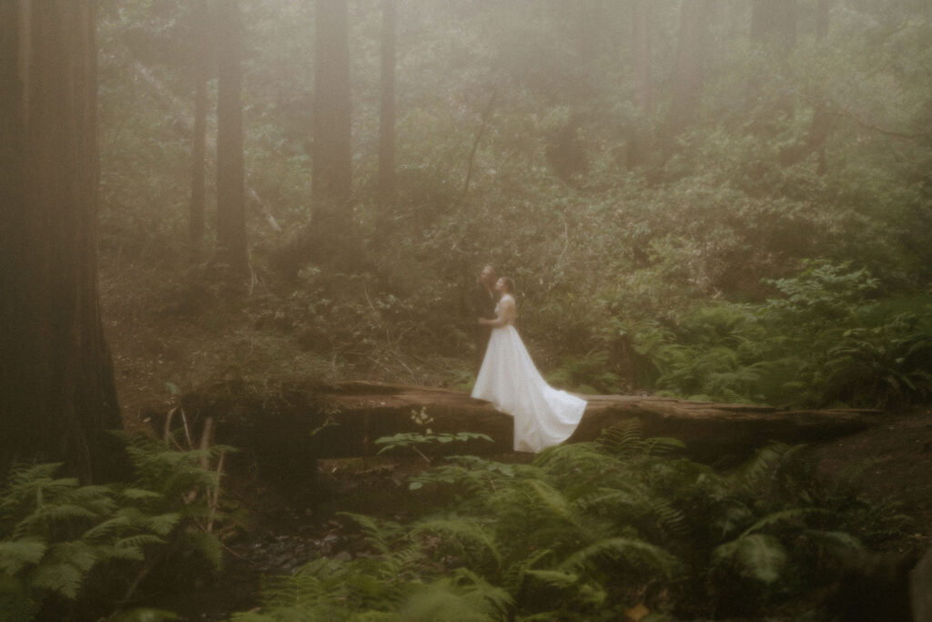 muir woods elopement 