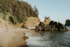 redwood coastal eloping couple on beach