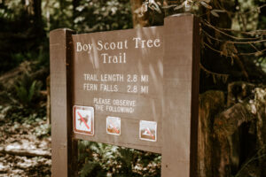 sign of trail in the redwoods