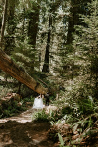 couple walking path during redwood elopement