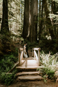 couple on bridge in the redwoods