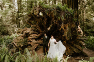 couple posing in front of fallen redwood tree