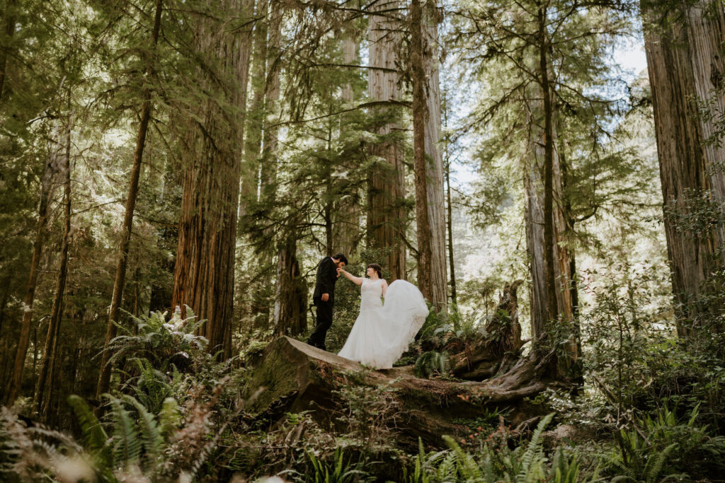 eloping couple posing on redwood tree