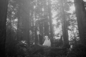 black and white couple standing on tree