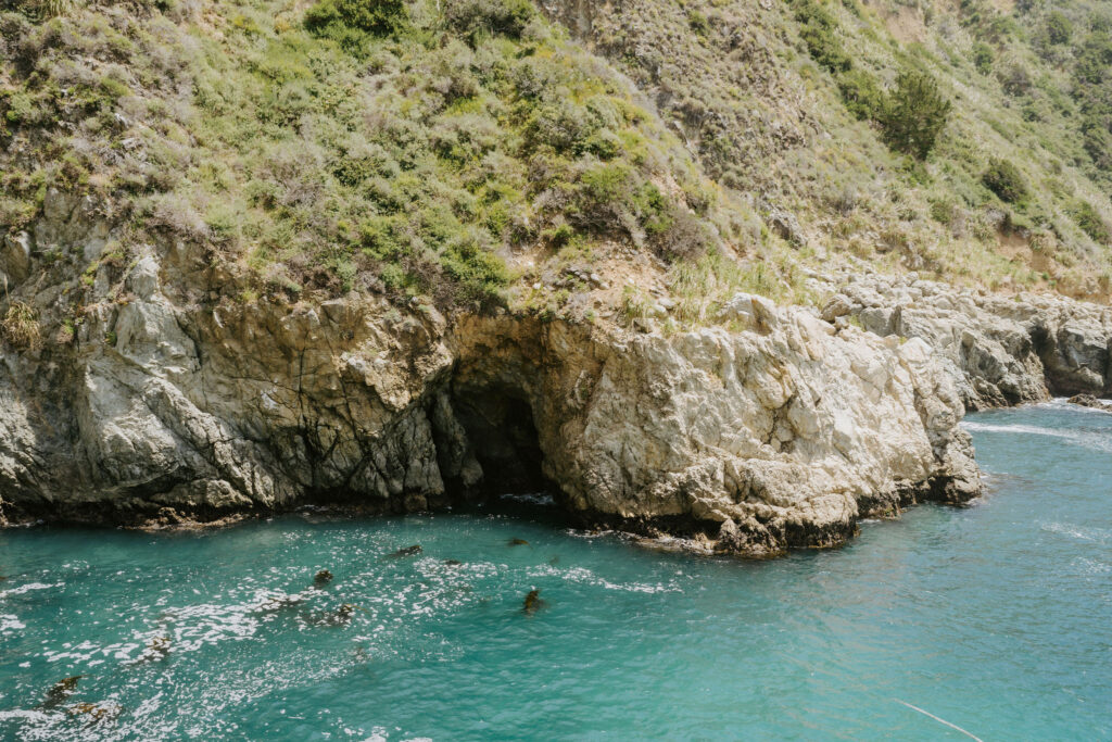 blue water at Partington Cove