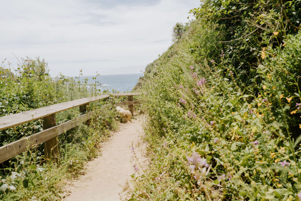 Partington Cove Path to the water