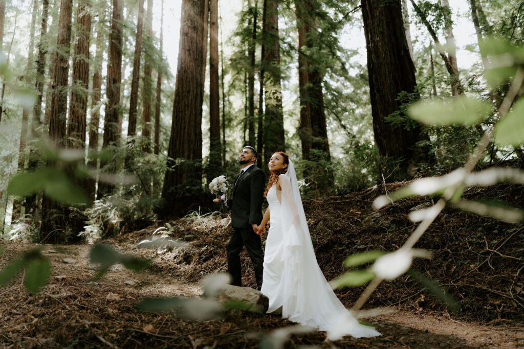 couple in the redwoods on their elopement night