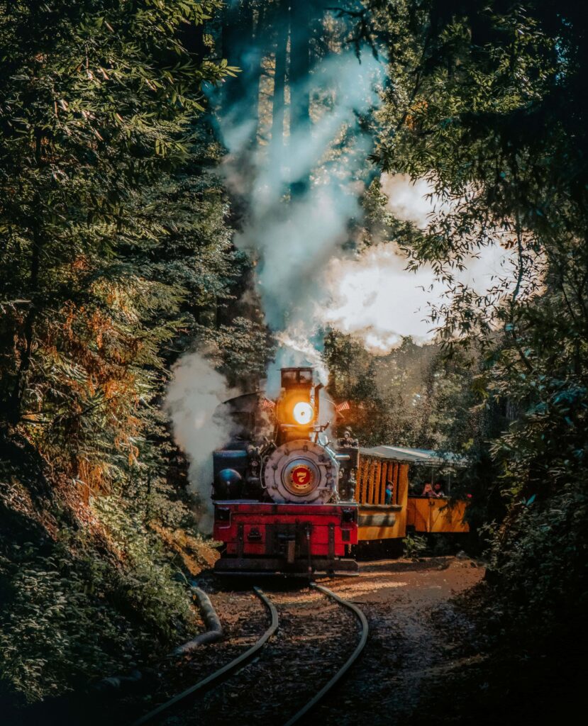 Elopement adventure on The Skunk Train