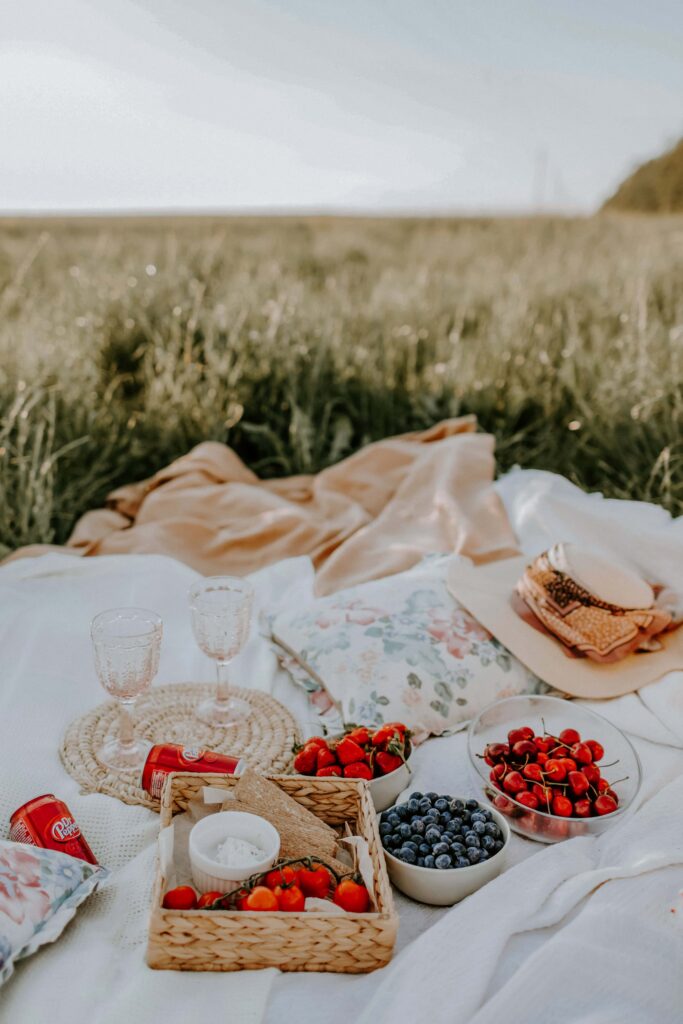 Elopement Picnic