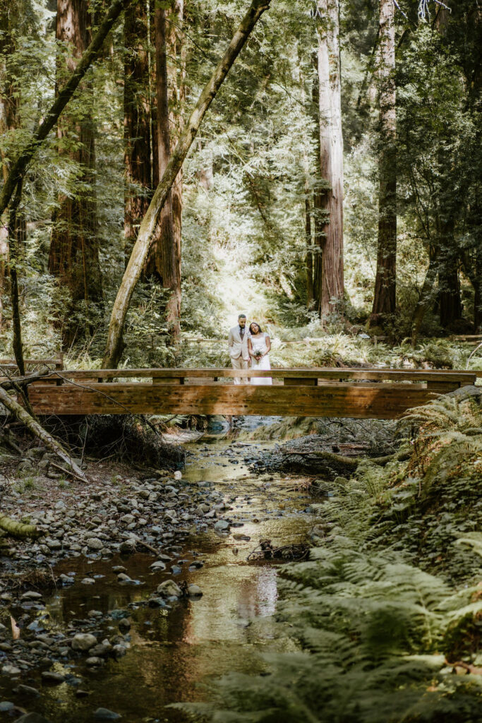 muir woods couple reflecting in water