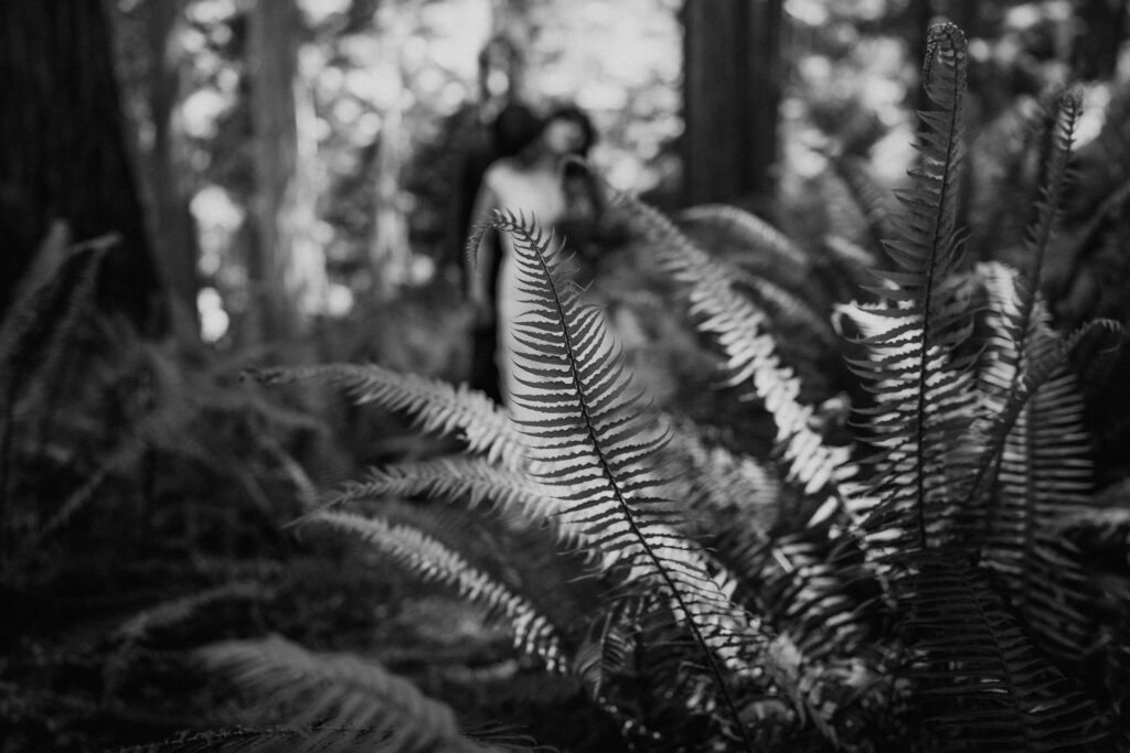 black and white couple in redwood forest