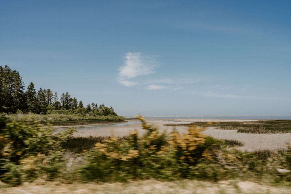 redwood coastal views