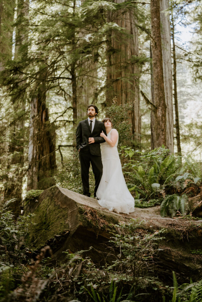 couple standing proud after eloping in the Redwood National Forest