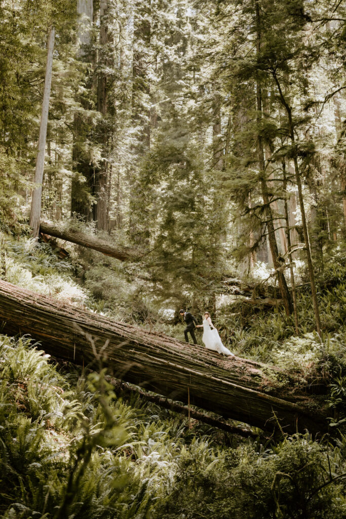 adventure redwood elopement couple walking in forest