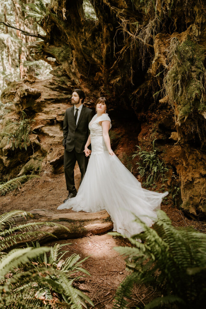 moody redwoods elopement in big sur