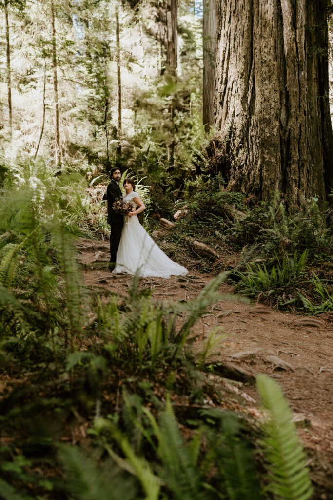 dreamy big sur redwood elopement couple surrounded by the tall trees