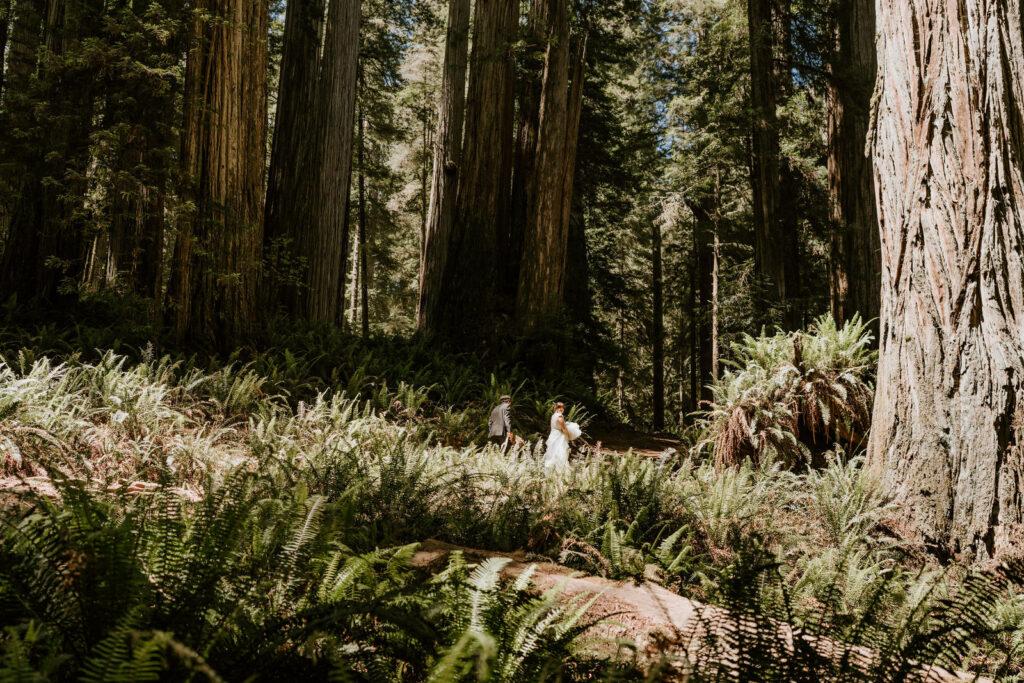 elopement couple surrounded by stunning big sur landscapes