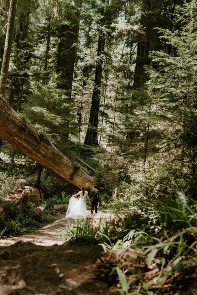 adventure elopement in big sur