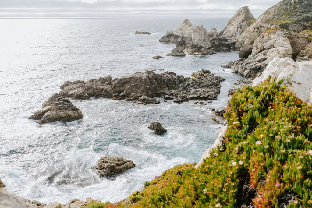 big sur redwood landscape