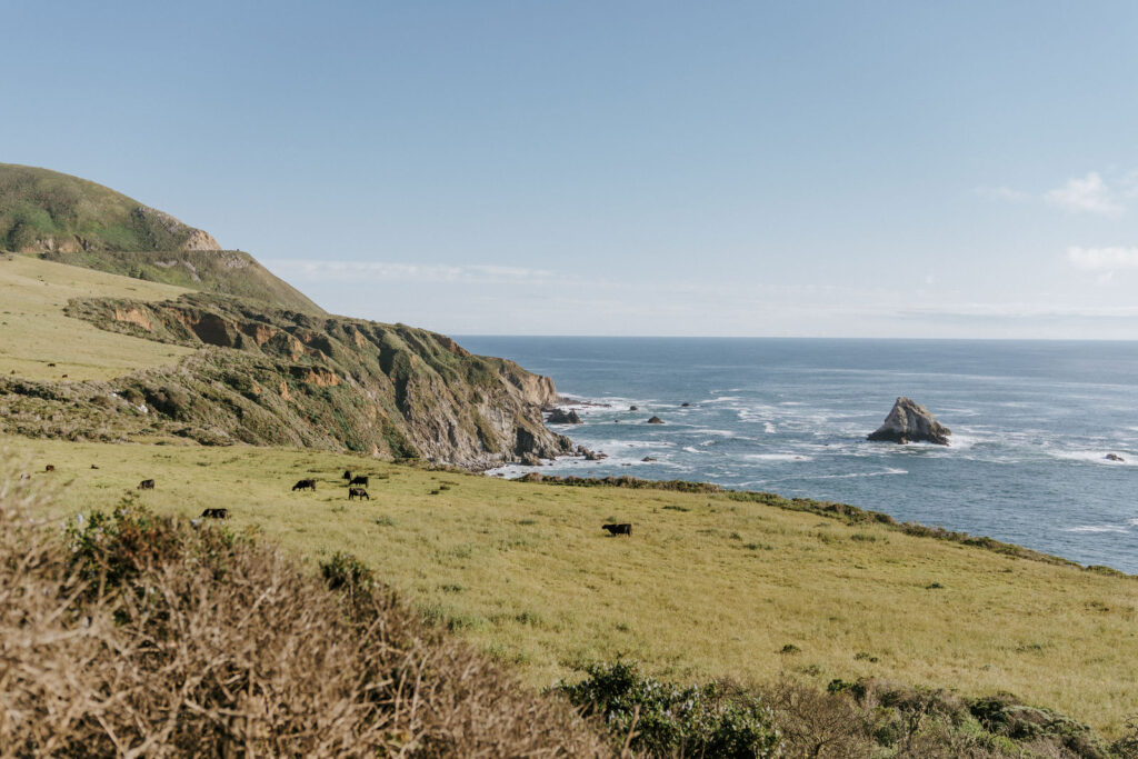 garrapata state park elopement  landscapes