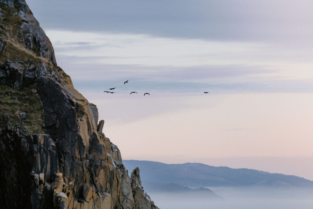 cannon beach landscapes