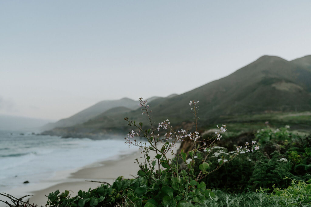 garrapata beach landscapes