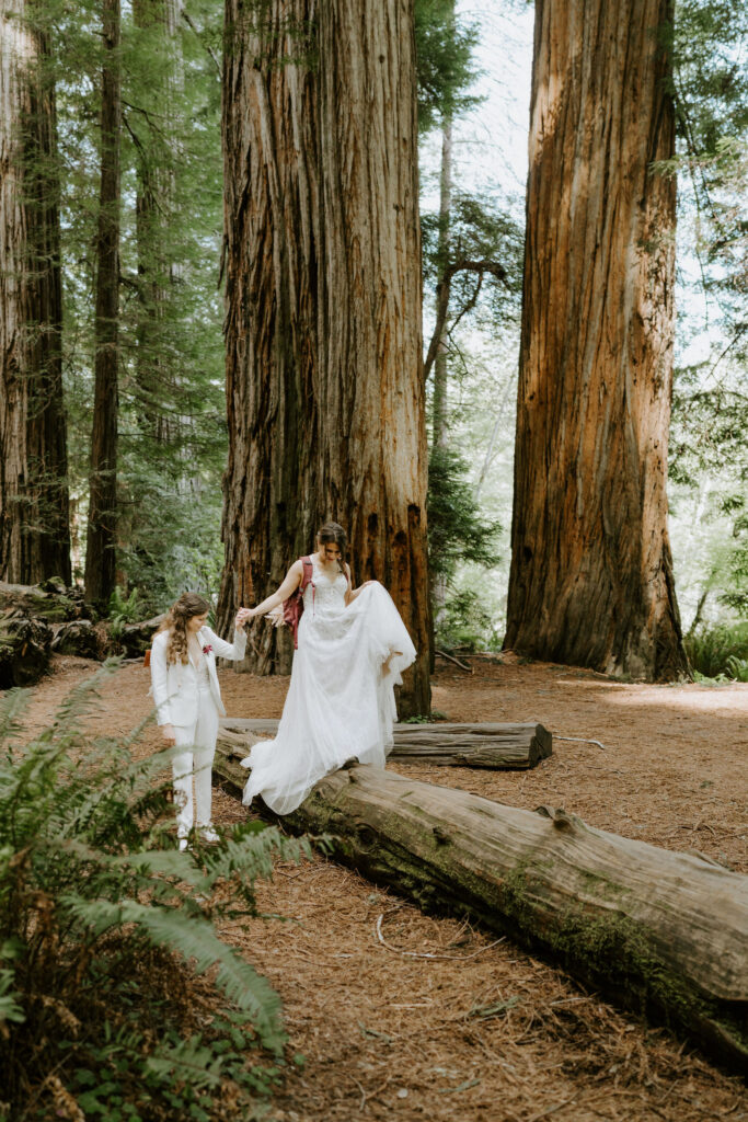 sweet brides surrounded by tall ancient redwood trees