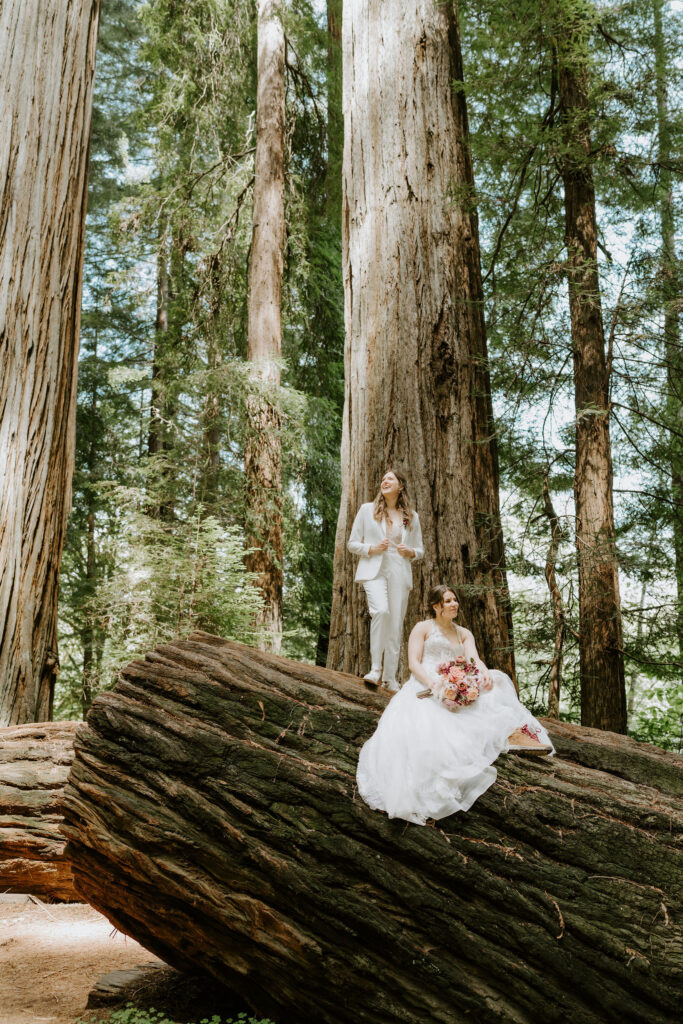 sweet brides surrounded by tall ancient redwood trees