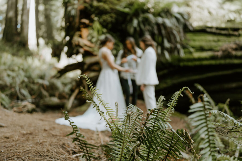 hand fasting ritual during a redwoods elopement ceremony at jedediah smith state park