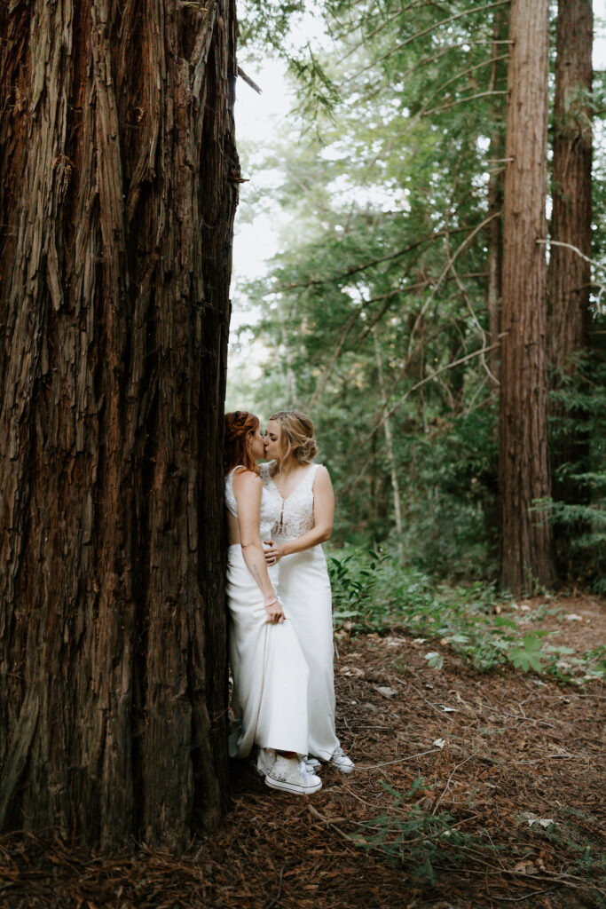 romantic moments of brides surrounded by lush redwood trees at pfeiffer redwood state park