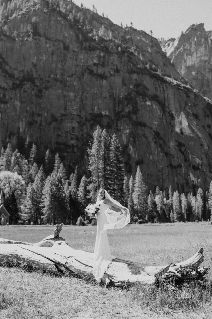 bridal portrait in yosemite