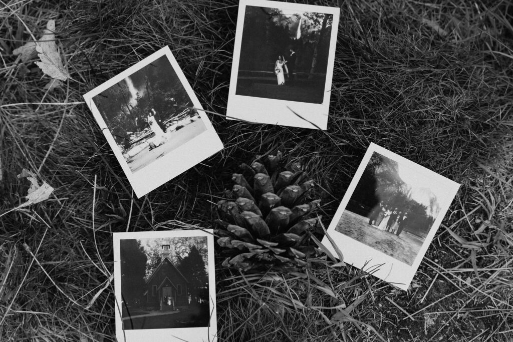 polaroid photo elopement details