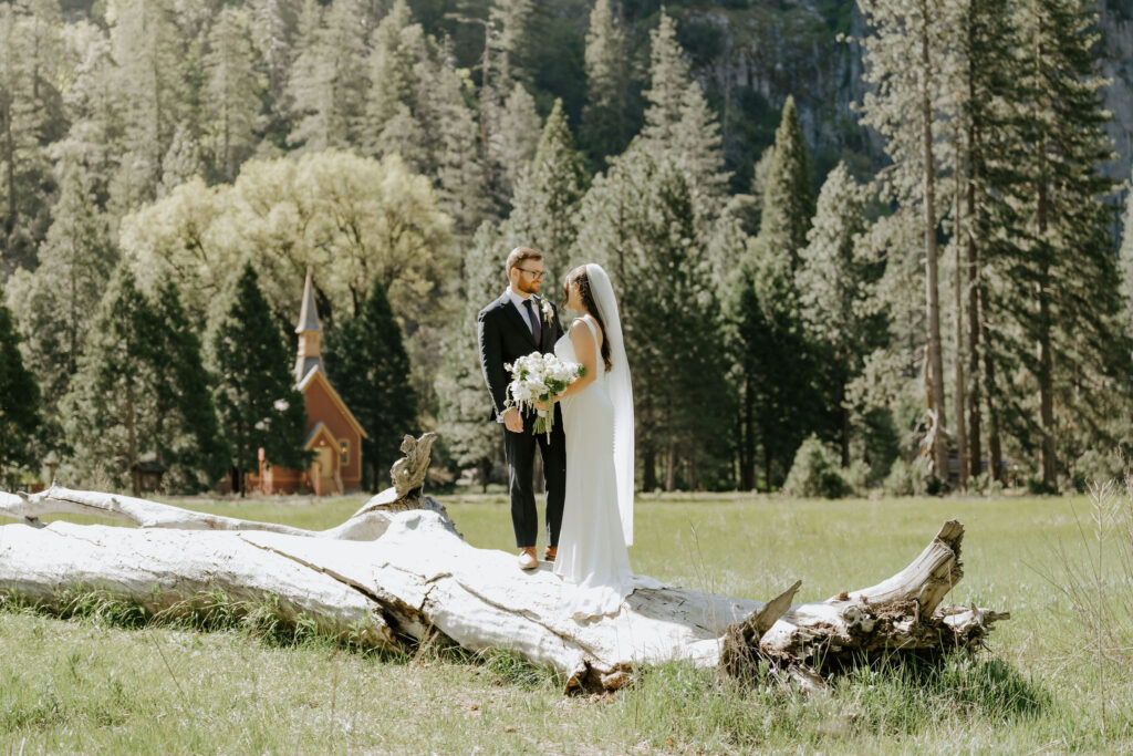 bride and groom during spring in yosemite national park