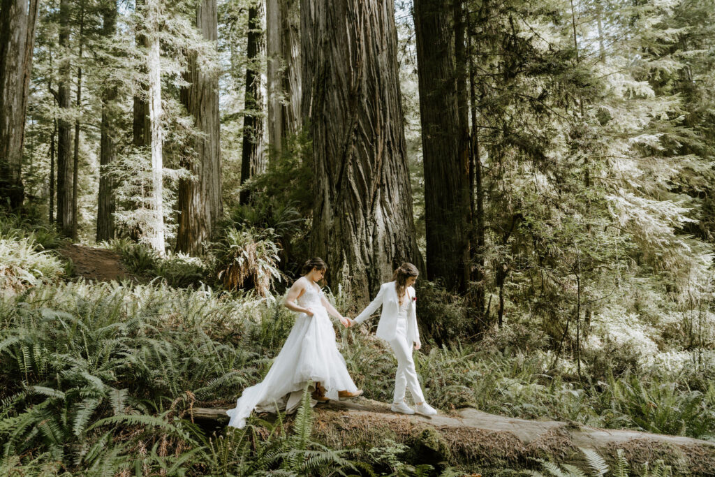 lgbtq couple adventurous redwoods elopement in California