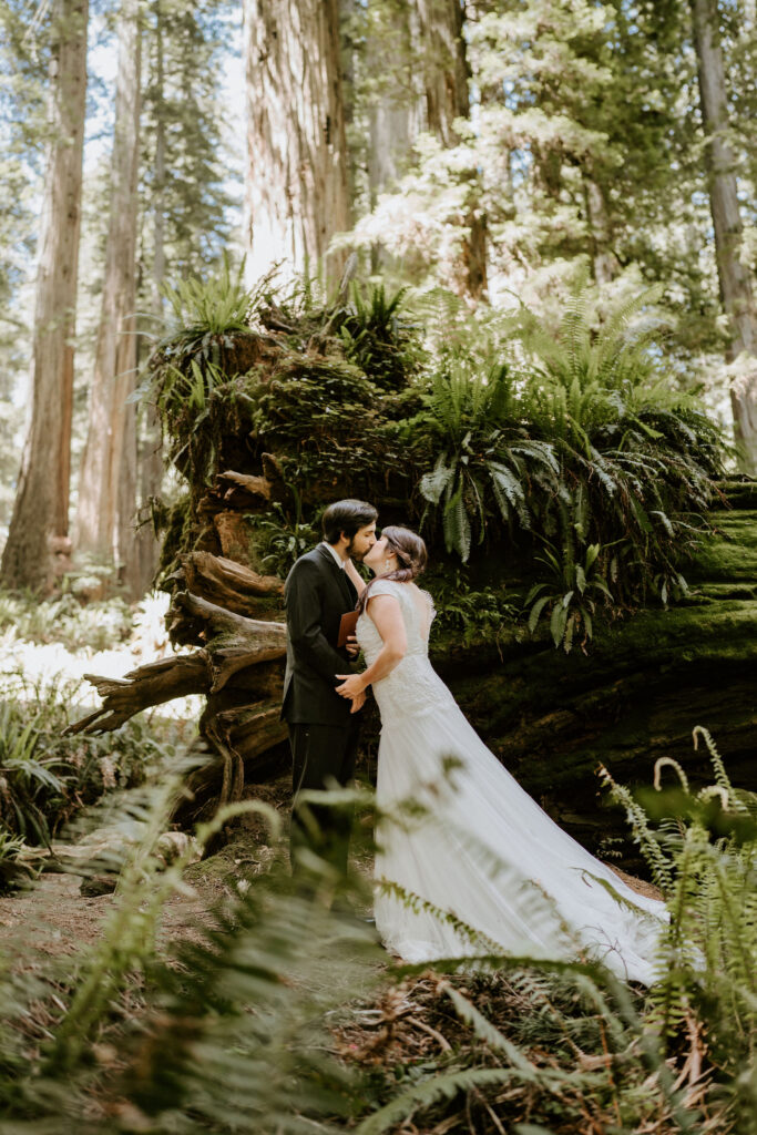 adventurous bride and groom moments surrounded by ancient redwoods as they elope in california