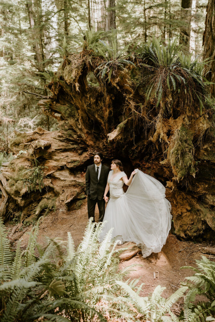 adventurous bride and groom moments surrounded by ancient redwoods as they elope in california