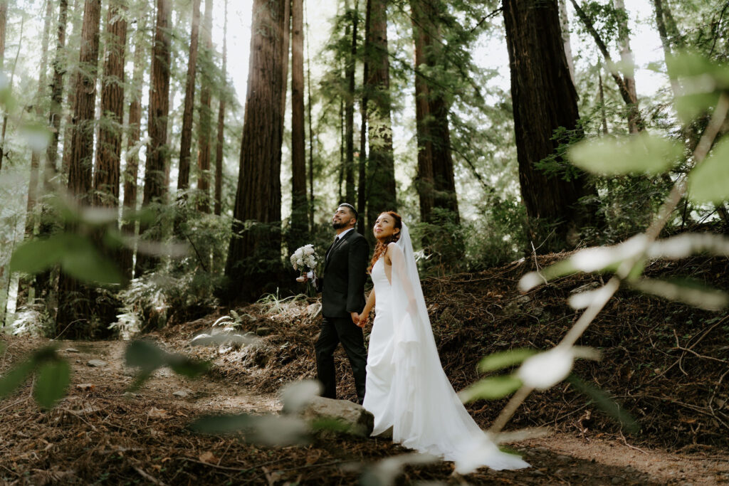 Romantic Glen Oaks Big Sur Elopement in the redwoods
